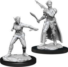 Dungeons & Dragons Nolzur`s Marvelous Unpainted Miniatures: W13 Shifter Rogue Female