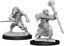 Dungeons & Dragons Nolzur`s Marvelous Unpainted Miniatures: W10 Kenku Adventurers