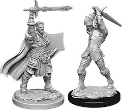 Dungeons & Dragons Nolzur`s Marvelous Unpainted Miniatures: W12 Male Human Paladin