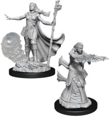 Dungeons & Dragons Nolzur`s Marvelous Unpainted Miniatures  W11 Female Human Wizard