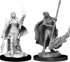 Pathfinder Deep Cuts Unpainted Miniatures  W11 Female Human Oracle (Magic User)