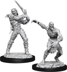 Dungeons & Dragons Nolzur`s Marvelous Unpainted Miniatures  W11 Wight & Ghast