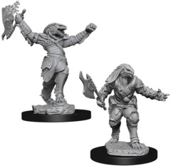 Dungeons & Dragons Nolzur`s Marvelous Unpainted Miniatures  W11 Female Dragonborn Fighter