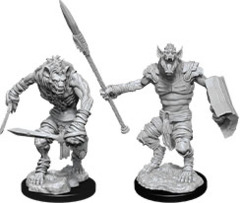 Dungeons & Dragons Nolzur`s Marvelous Unpainted Miniatures: W12 Gnoll & Gnoll Flesh Gnawer