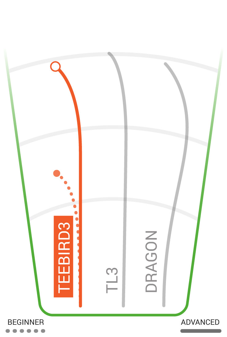 TEEBIRD3
