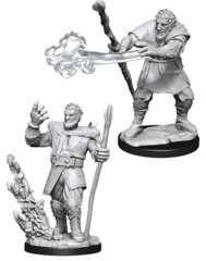 Dungeons & Dragons Nolzur`s Marvelous Unpainted Miniatures  W11 Male Firbolg Druid