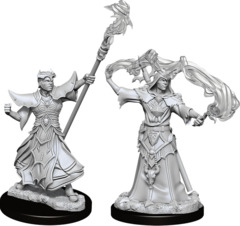 Pathfinder Deep Cuts Unpainted Miniatures: W11 Male Human Sorcerer