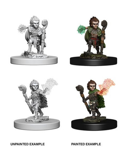 Gnome Male Druid