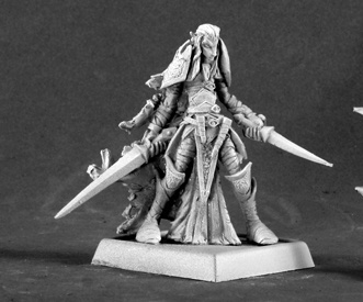 Dark Elf Warrior 14570