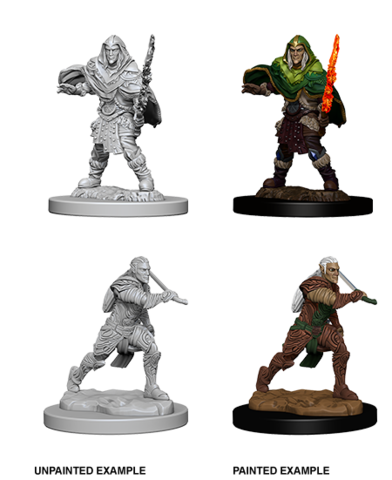 Nolzurs Male Elf Fighter