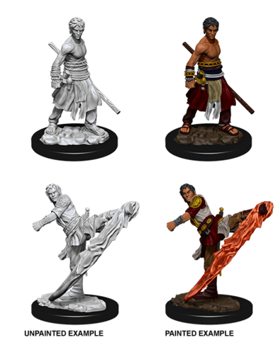 Nolzurs Marvelous Male Half-Elf Monk