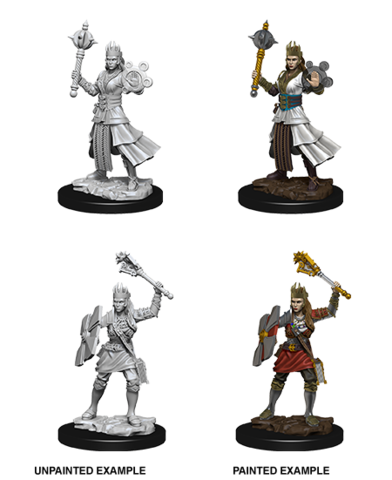 Nolzurs Female Human Cleric