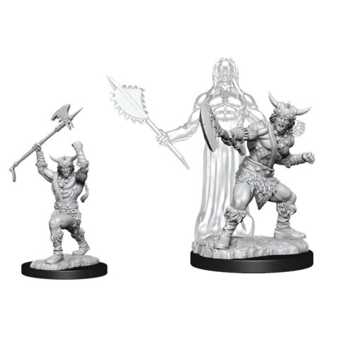 Nolzurs Male Human Barbarian