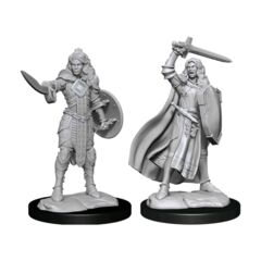 Pathfinder Deepcuts Unpainted Miniatures Human Champion Female