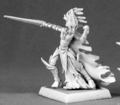Shadowstep Warrior 14586