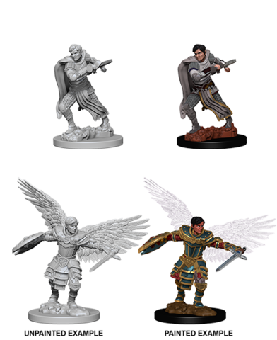 Nolzurs Male Aasimar Fighter
