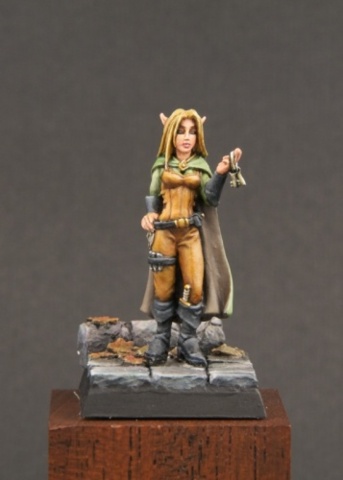 Valloa, Female Elf Thief 03566