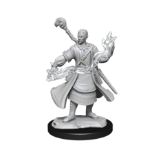 Nolzurs Marvelous Unpainted Miniatures Half-Elf Wizard Male