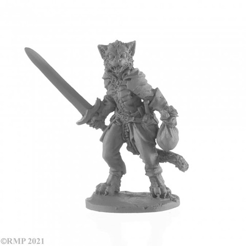 Catfolk Rogue 04049