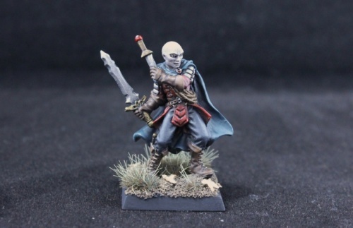 Ridley Darkedge, Male Rogue 03345