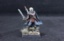Ridley Darkedge, Male Rogue 03345