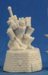 Male Paladin 77303