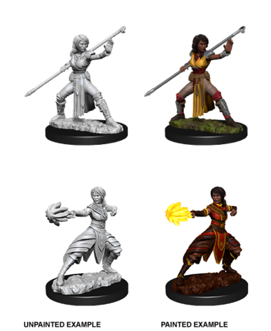 Nolzurs Female Half-Elf Monk