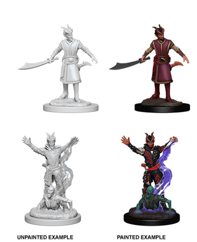 Nolzurs Male Tiefling Warlock