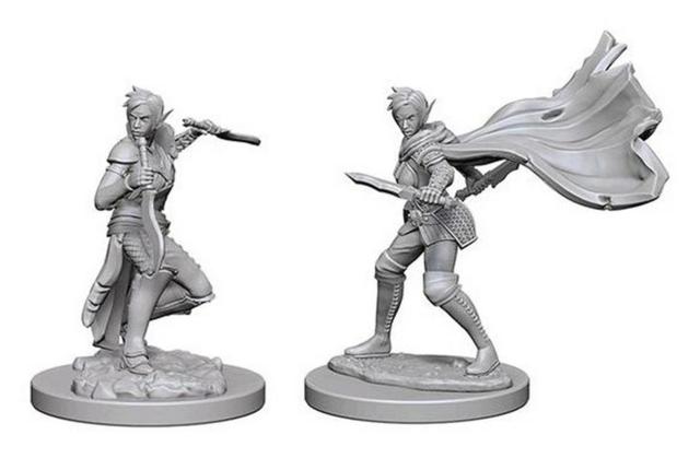 Elf Female Rogue