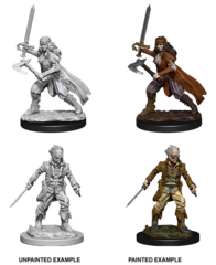Nolzurs Vampire Hunters