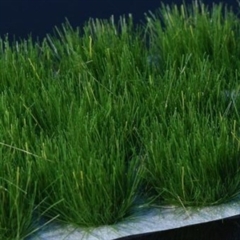 Gamers Grass Strong Green 12mm XL Tufts Wild