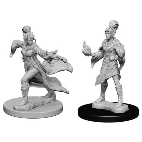 Elf Female Sorcerer