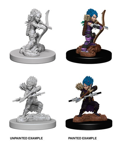 Deep Cuts Female Gnome Rogue