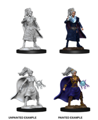 Nolzurs Marvelous Female Human Sorcerer