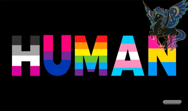 Human Unicorn Flag - Playmat