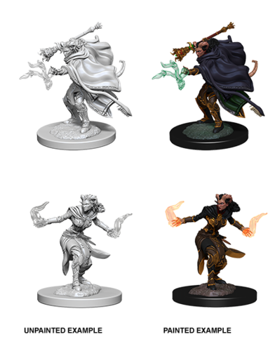 Nolzurs Female Tiefling Warlock