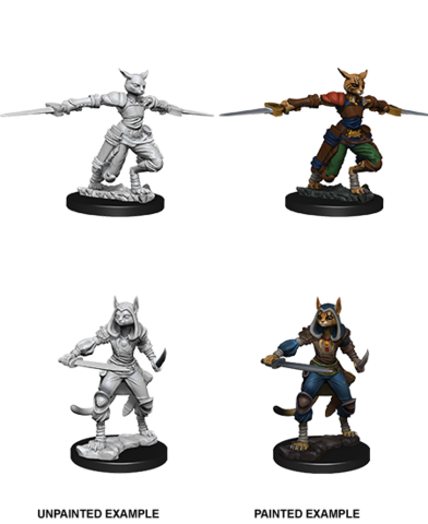 D&D Nolzurs Marvelous Unpainted Miniatures Female Tabaxi Rogue