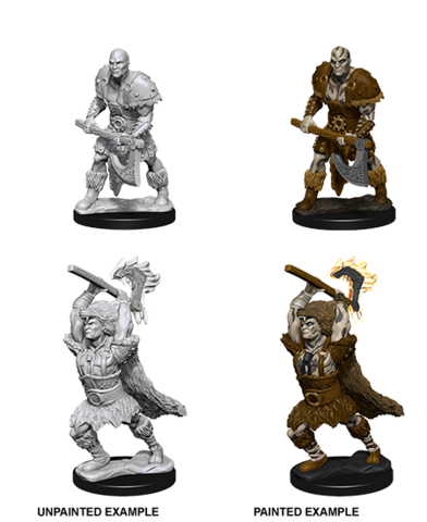 Nolzurs Male Goliath Barbarian