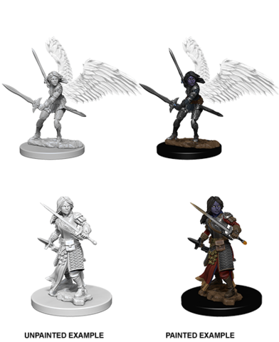 Aasimar Female Paladin