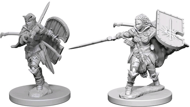 Human Female Paladin