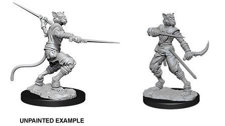 Nolzurs Marvelous Miniatures Male Tabaxi