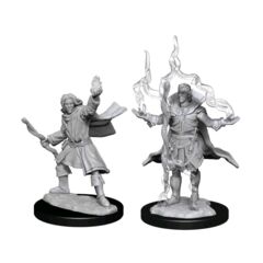 Pathfinder Deepcuts Unpainted Miniatures Elf Sorcerer Male