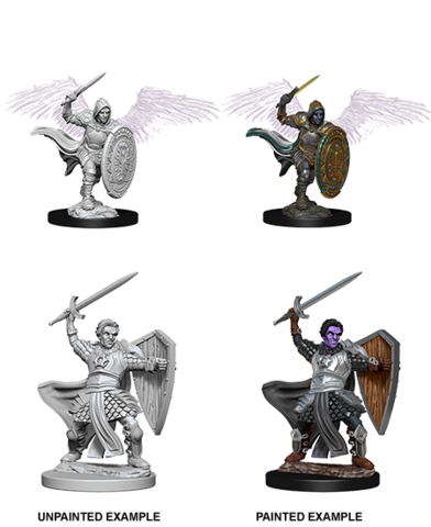 Aasimar Male Paladin