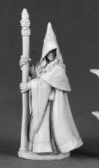 Anirion, Wood Elf Wizard 03491