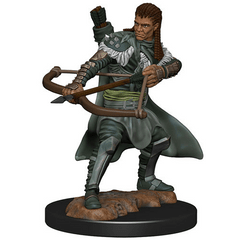 D&D Premium Painted - Male Human Ranger (W04)