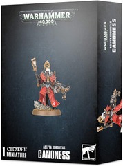 Adepta Sororitas: Canoness