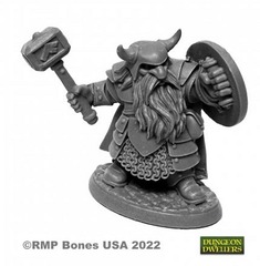 07011 Borin Ironbrow, Dwarf Fighter