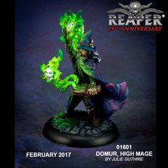 01601 Silver Anniversary - Domur, High Mage