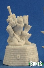 77303 Male Paladin