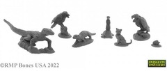 07050 Familiars 3